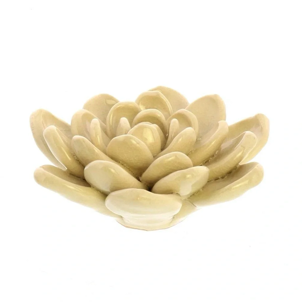 Nordstrom Ceramic Succulents - Picture 5 of 9